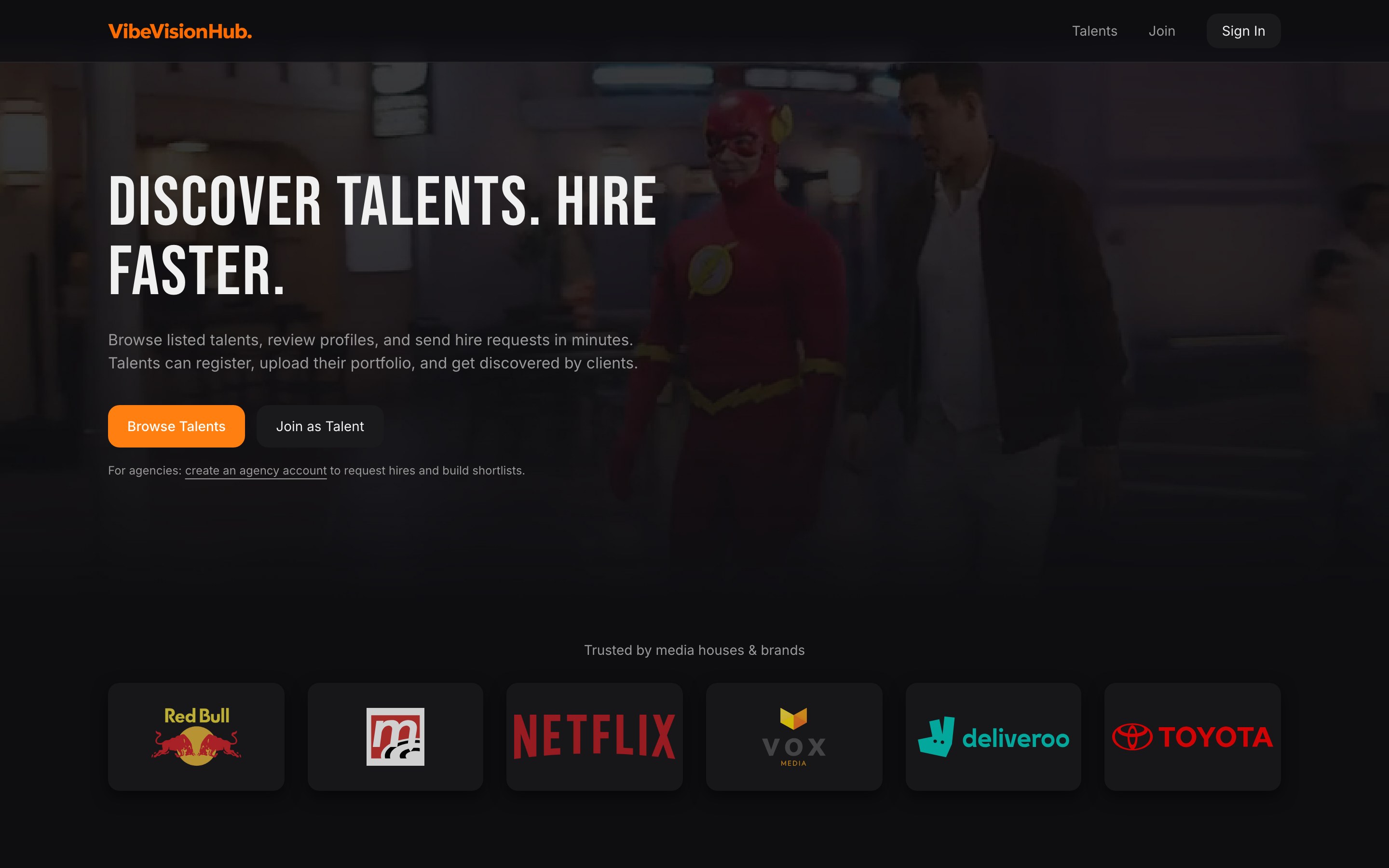 Homepage of vibevisionhub.com